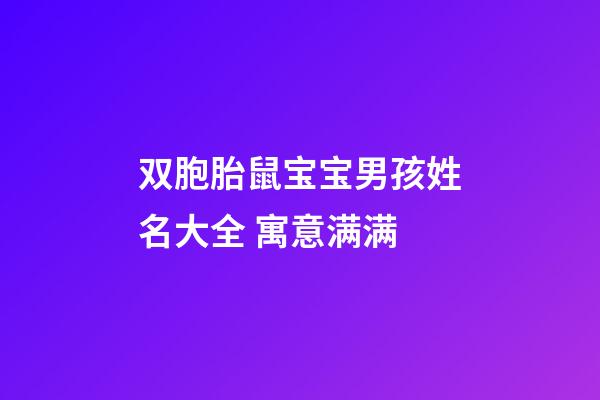 双胞胎鼠宝宝男孩姓名大全 寓意满满